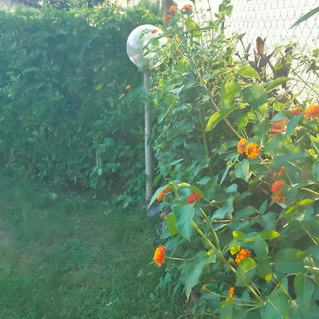 Casina Terdom Сasa de vacaciones *